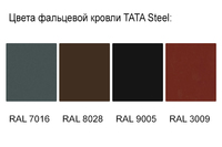 Tata_steel_tsveta
