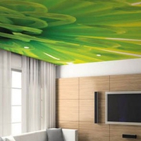 Texture-ceiling-fotoprint-6