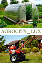 Agrocity-logo-v